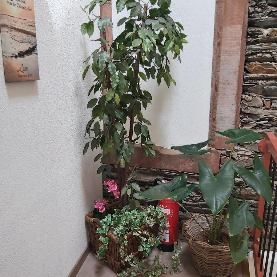 Appartamento Kleine Altstadt Oase Bernkastel-Kues Esterno foto