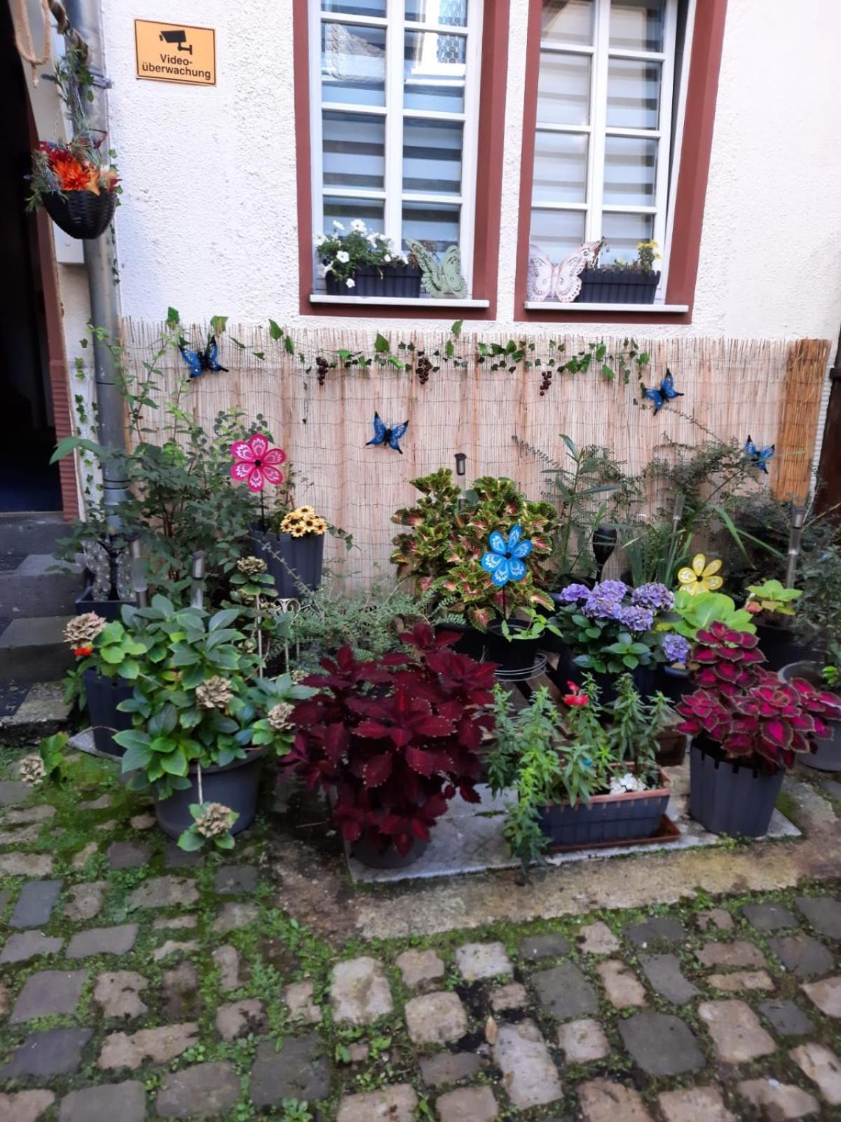 Appartamento Kleine Altstadt Oase Bernkastel-Kues Esterno foto